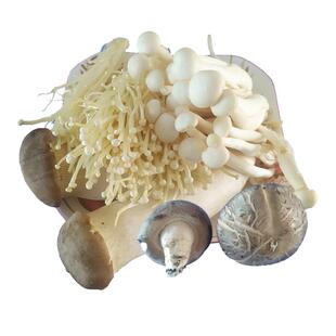 新鲜家常菌菇金针菇香菇自由组合火锅煲汤配营养美味