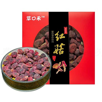 红菇福建野生三明灰蓝底今年新货