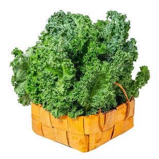 新鲜羽衣甘蓝蔬菜顺丰包邮沙拉食材嫩叶甘兰kale西餐榨汁配菜