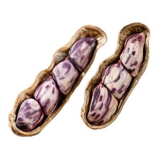 2025云南特产七彩花生水煮咸干晒干带壳五彩花生龙岩湿烤奶油花生