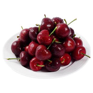 正宗大连大樱桃当季新鲜采摘国产车厘子樱桃顺丰孕妇水果樱桃
