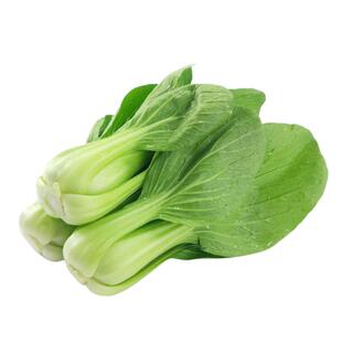 上海青菜种籽大全四季小鸡毛菜种子耐寒耐高温矮脚奶白菜蔬菜种孑