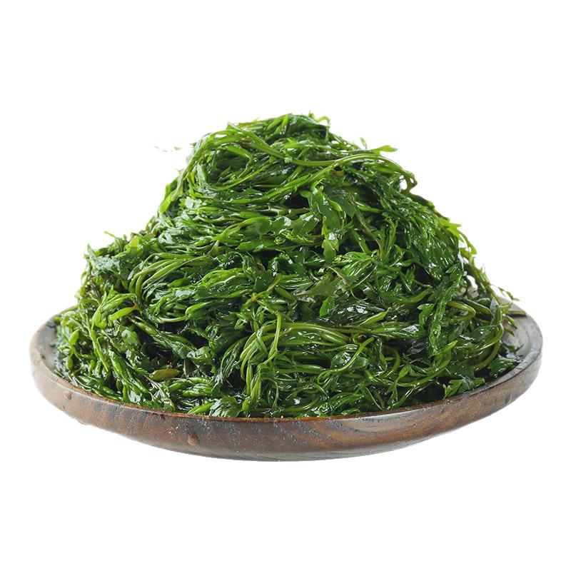 新鲜马尾藻人工精选不含干燥剂当海带