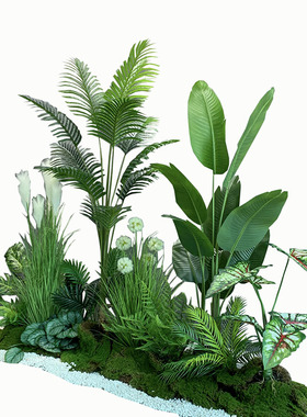 室内仿真散尾葵造景假绿植装饰