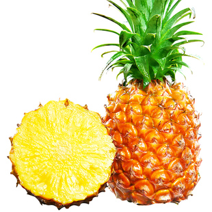 海南金钻凤梨新鲜水果树上熟芒果凤梨香水菠萝大果无眼整箱包邮