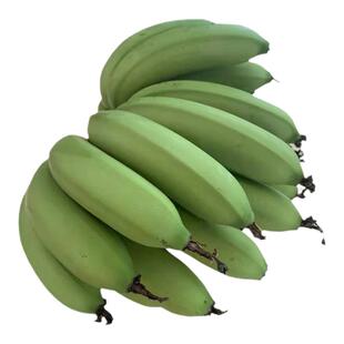 高州遁地雷香蕉广东本地香蕉3/5/10斤新鲜青香甜软糯茂名高脚野蕉