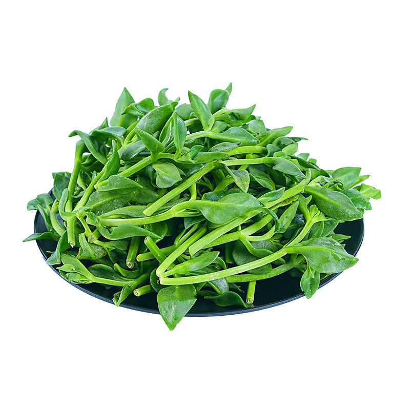 新鲜田七叶蔬菜当季农家蔬菜野菜