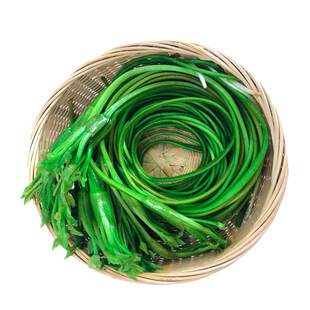 云南特产新鲜蔬菜野菜水性杨花菜泸沽湖海菜花现摘大理洱海送酒店