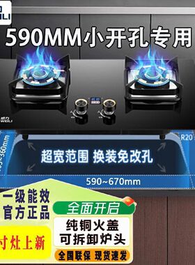 威力590小开孔煤气灶双灶台式嵌入式家用天然气猛火600mm燃气灶