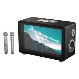 好牧人D1悬浮透明歌词音箱大音量蓝牙音响话筒ktv家用K歌2026新款