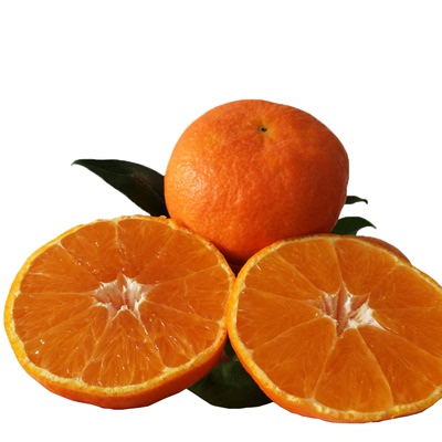 正宗象山红美人爱媛28号桔子礼盒