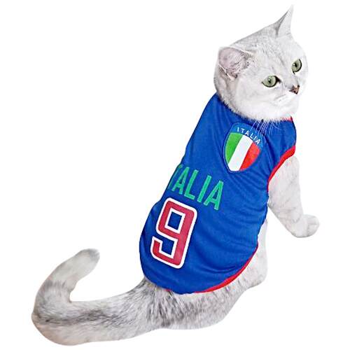 网红小猫咪衣服宠物猫潮牌春夏季薄款可爱背心式英短春秋蓝猫夏天