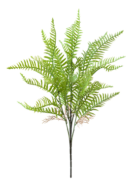 仿真蕨类植物铁线蕨波斯草仿真花