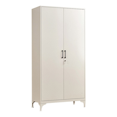 轻奢指纹密码锁储物柜鞋柜阳台钢制大容量收纳柜多层铁皮柜置物柜