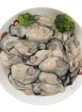 潮汕新鲜生蚝肉鲜活现剥刺身级