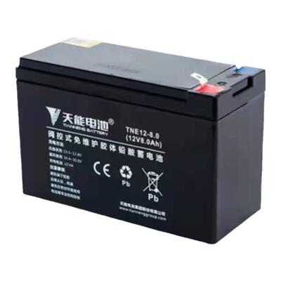 天能喷雾器音响铅酸蓄电池