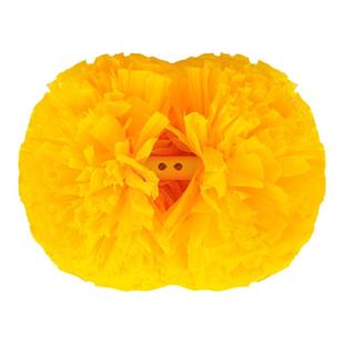 花球啦啦队手拿花拉拉球拉拉队手花啦啦操花球舞蹈演出花球彩球