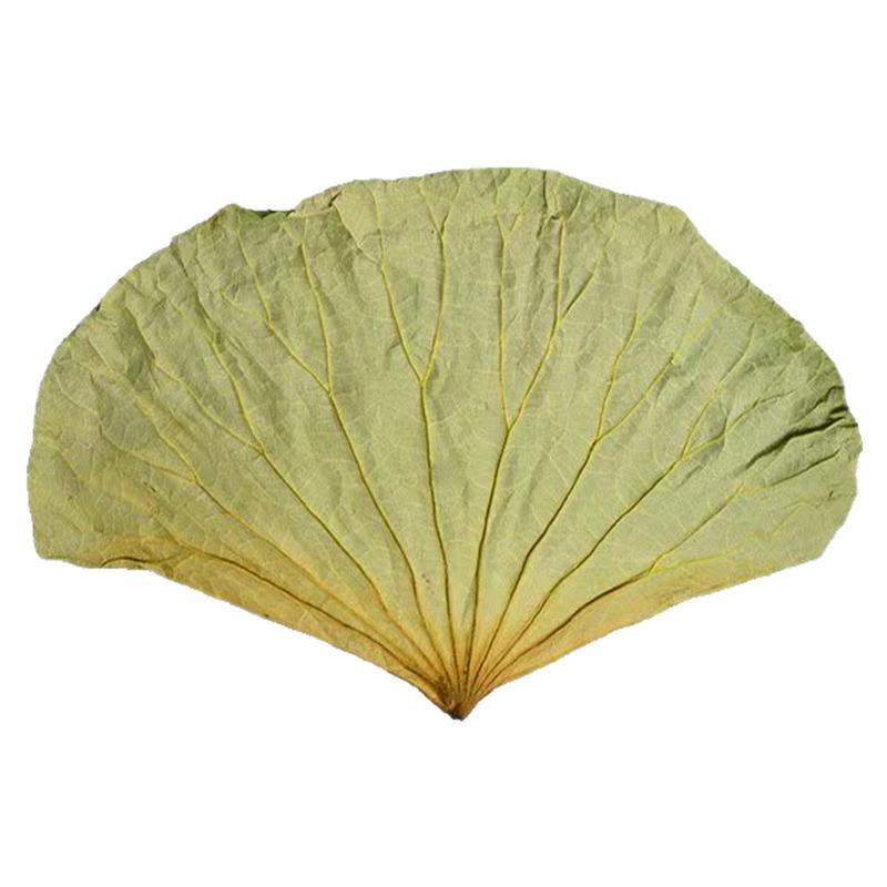 微山湖整包野生整张荷叶荷叶茶干荷叶片泡茶荷叶饭荷叶鸡50斤一包