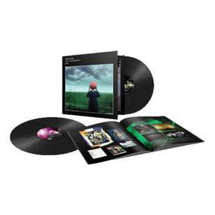 欧版进口Pink Floyd平克弗洛伊德 内布沃斯公园实况音乐会2LP黑胶