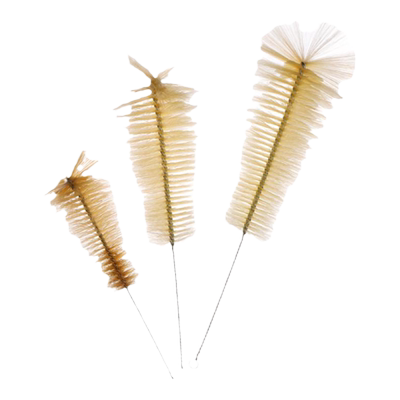 SAIEISE试管刷烧杯刷量筒刷