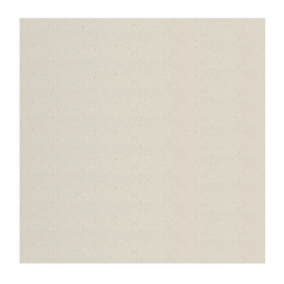 纯白写意绘画半生国画宣纸