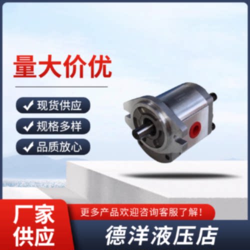 询台湾朝田RISUNY齿轮泵P102RP01G液压油泵P101RP01G可定制使用