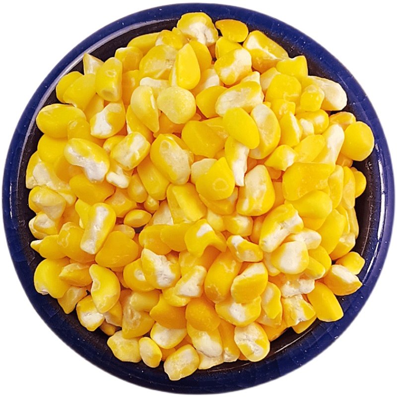 东北黄粘玉米碴子5斤新玉米碴农家大渣粥粗粮非转基因黏苞米茬子
