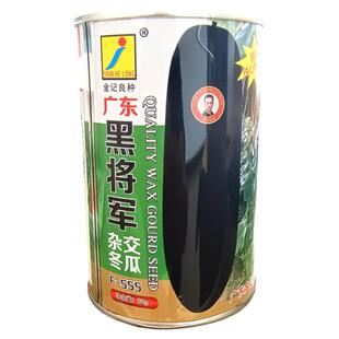 广东黑将军杂交黑皮冬瓜种子特大实心炮弹型巨型高产春夏秋季播种