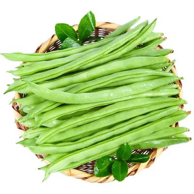 新鲜现摘四季豆云南农家自种
