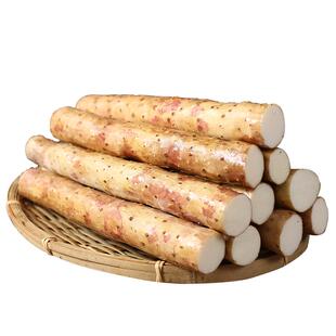 河北特产蠡县麻山药小白嘴新鲜绿色产地直发非河南焦作铁棍30cm+