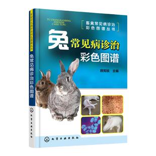 正版 畜禽常见病诊治彩色图谱丛书 兔常见病诊治彩色图谱 看图学治兔病 快速掌握兔病诊疗技术 农业畜牧兽医专业师生参考应用书籍