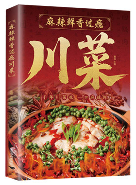 麻辣鲜香过瘾川菜正版书籍