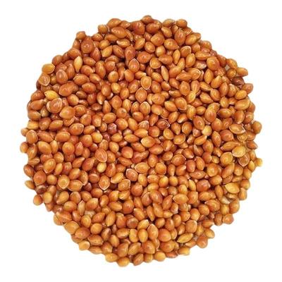 红黍子枕头填充婴儿大黄米蒙稷儿童枕头芯痔疮垫凉垫坐垫凉籽糜子