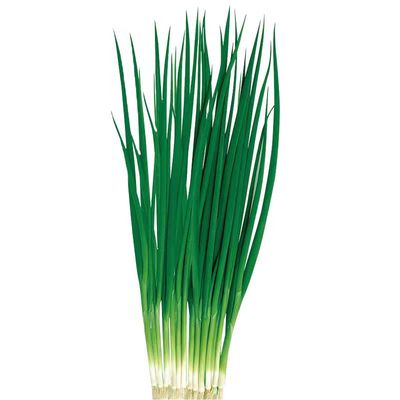 四季小香葱种子庭院大面积种植高产 盆栽 长速快耐寒抗病蔬菜种籽