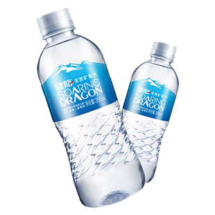 健龙天然矿泉水五大连池二龙眼泉水纯净水不含气350ml*24瓶整箱