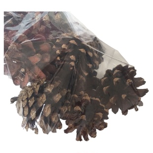 热销天然材料橡果帽橡子落叶松美人松果云杉松手工diy干花包装饰