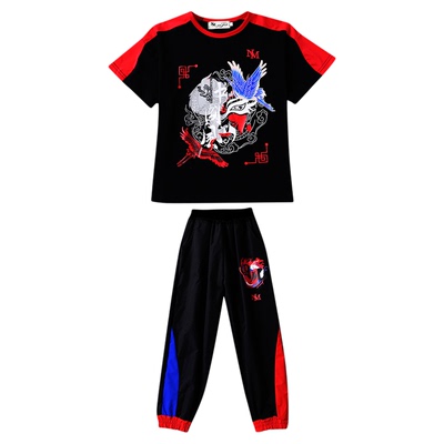 男童秋装纯棉t恤2025新款