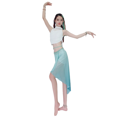 肚皮舞百雅千慧网纱服女舞蹈服