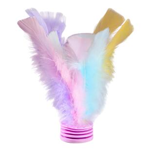 毽子儿童小学生幼儿园踢毽子鸡毛腱踺键子耐踢的羽毛毽球比赛专用