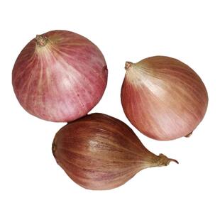 今年新葱上市东北毛葱头农家特产新鲜小洋葱头迷你圆红葱头