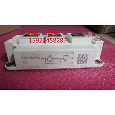 议价SKM300GB12T4 SKM400GB12T4 SKM200GB12T4全新SKM400GB128D