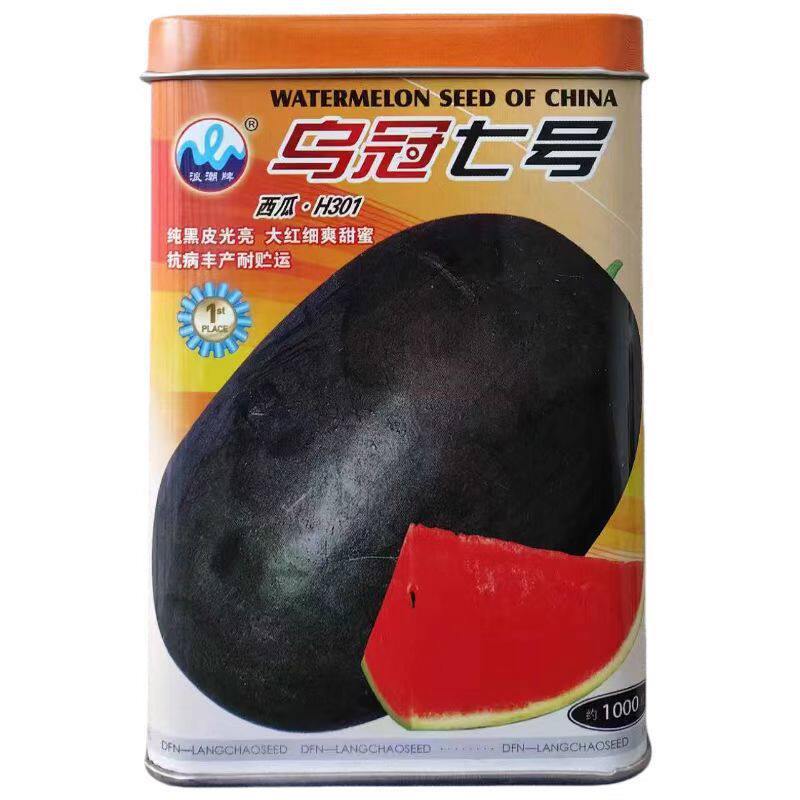浪潮乌冠七号黑皮大果西瓜种子