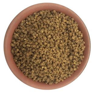 西蜀堂手工靛颏鸟食壮膘保色靛颏饲料嗜虫杂鸟仙翁幽鹛叶鹎鸟鸟食