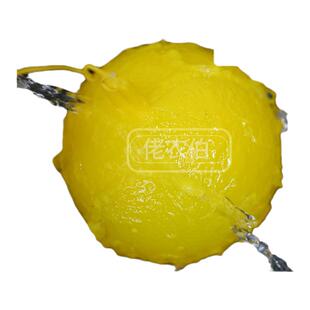 果园菜地专用诱蝇球防果实蝇针蜂马蜂诱捕球瓜果蔬菜防苍蝇保护球