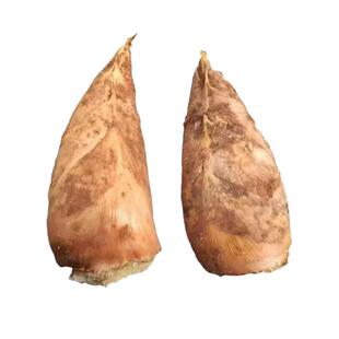 2025江西新鲜冬笋农家野生毛竹笋精选现挖现发高山黄泥笋楠竹冬笋