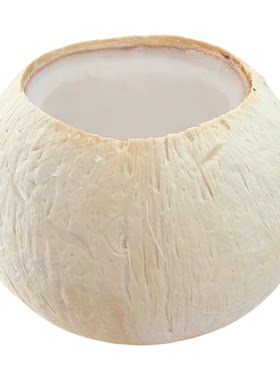 椰子壳、甜品、椰子炖汤