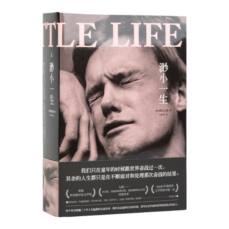 现货渺小一生柳原汉雅 A Little Life四个男生跨越三十年人生起落的友谊史诗追风筝的人理想国正版