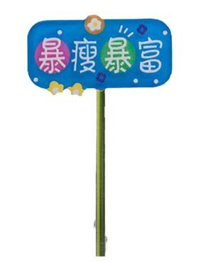 微景观摆件花盆亚克力装饰