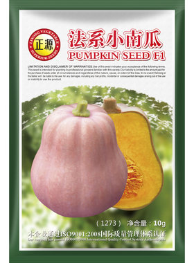 蔬菜奶油高产四季南瓜种子
