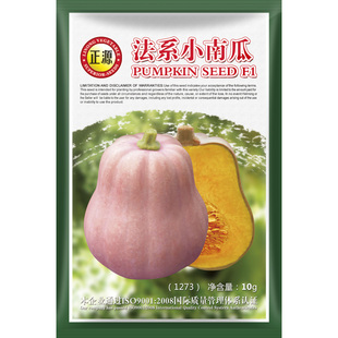 和利农正源法系小南瓜奶油南瓜种子高产甜糯南瓜种籽四季蔬菜苗孑